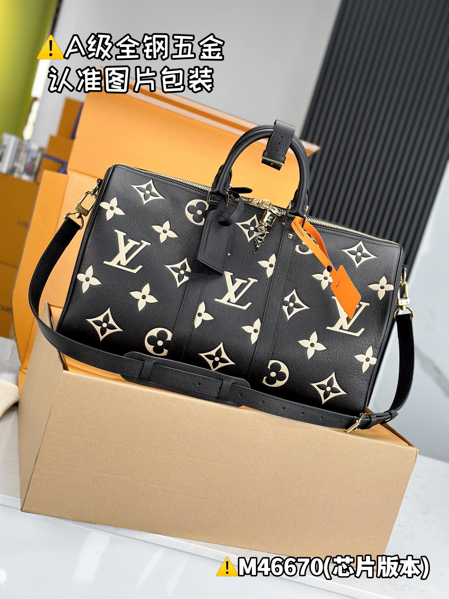 LV Travel Bags